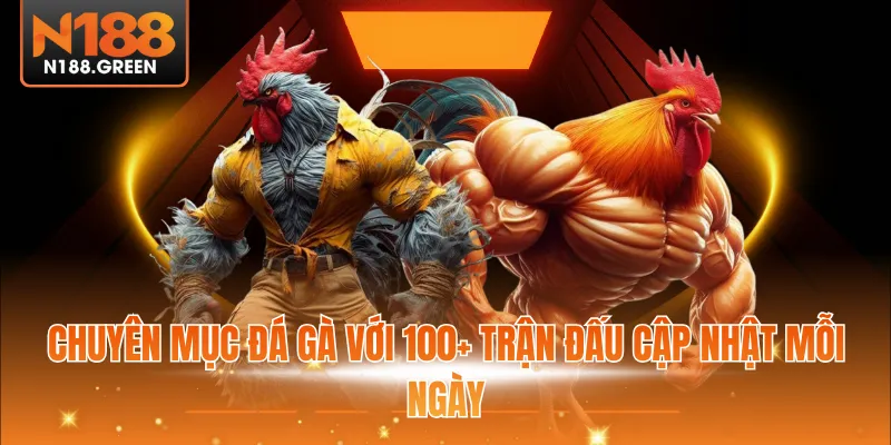 Chuyên mục đá gà với 100+ trận đấu cập nhật mỗi ngày